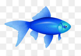 Bluefish PNG Images - CleanPNG / KissPNG