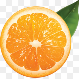 Orange Slice PNG - orange-slice-cartoon orange-slice-background orange-slice-clip  orange-slice-vector orange-slice-drawing orange-slice-with-orange orange-slice-digestive  orange-slice-svg orange-slice-graphic small-orange-slice orange-slice-crafts  ...