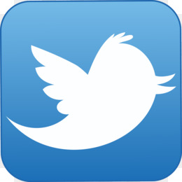 Twitter PNG - Twitter Logo, Twitter Icon, Twitter Transparent, Twitter  Bird, Twitter Button, Twitter Symbol, Twitter Banner, Twitter Logo Icon,  Twitter Bird Outline, Twitter Bird Icon. - CleanPNG / KissPNG