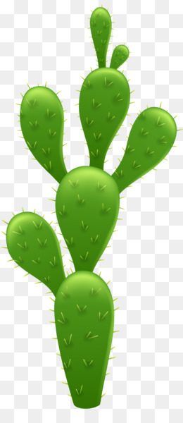 Prickly Pear PNG - Prickly Pear Cactus Flower, Prickly Pear Cartoon, Prickly  Pear Cactus Paintings. - CleanPNG / KissPNG