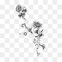 Floral Design Sleeve Tattoo Idea Flower PNG 1580x2048px Floral Design  Art Blackandwhite Blume Botany Download Free