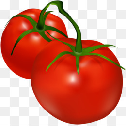 Tomato Plant PNG - Tomato Plant Vector. - CleanPNG / KissPNG