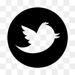 Twitter Png Twitter Logo Twitter Icon Twitter Transparent