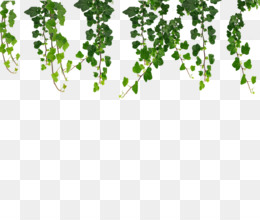 Creepers PNG Transparent Images Free Download, Vector Files