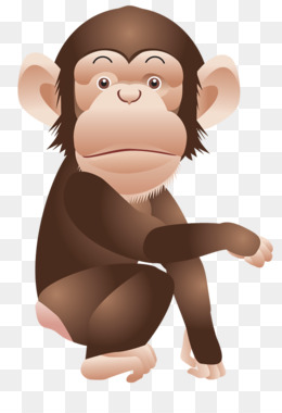 Ape PNG - Ape Face, Ape Drawing. - CleanPNG / KissPNG