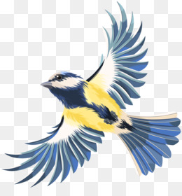 Blue Jay Png Toronto Blue Jays Flying Blue Jay Blue Jay Mascot Blue Jay Flying Cartoon Blue Jay Blue Jay Head Hopkins Blue Jays Cleanpng Kisspng