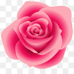 Pink Rose Png - Pink Rose Border, Vintage Pink Roses, Pink Roses  Background, Pink Rose Bouquet, Pink Rose Color, Pink Rose Bud, Pink Rose  Cartoon, Pink Rose Art. - Cleanpng / Kisspng