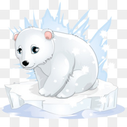 Polar Bear PNG - Polar Bear Cartoon, Baby Polar Bear, Cute Polar Bear,  Polar Bear Face, Cartoon Polar Bear, Polar Bear Head, Polar Bear Cartoons,  Polar Bear Paw, Polar Bear Outline, Angry