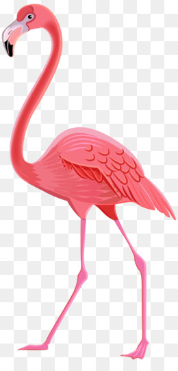 flamingo-png-transparent-clip-art-image-5a3bfd24d051b7.7635191415138808688533.jpg