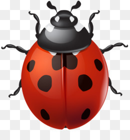 Miraculous Ladybug Png, Ladybug Png, Miraculous Tales Of Ladybug & Cat Noir  Png Digital File, CT31