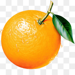 Orange Fruit PNG - Orange Fruit Cartoon, Orange Fruit Black And White,  Orange Fruit Color. - CleanPNG / KissPNG