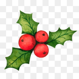 3+ Thousand Christmas Holly Transparent Background Royalty-Free