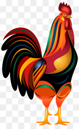 Rooster PNG - Cartoon Rooster, Rooster Vector, Chicken Rooster, Rooster  Silhouette, Vintage Rooster, Rooster Crowing, Game Rooster, Funny Rooster,  Fighting Rooster Drawings. - CleanPNG / KissPNG