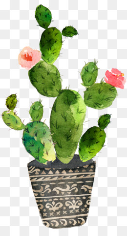 Cactus Flower PNG - Cactus Flowers Watercolor, Prickly Pear Cactus Flower, Cactus  Flower SVG. - CleanPNG / KissPNG