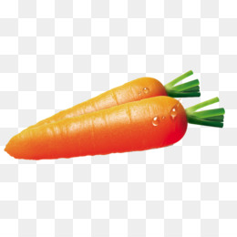 Cartoon Carrot PNG - realistic-cartoon-carrot small-cartoon-carrot cute- cartoon-carrots-and-potatoes cartoon-carrot-outline 3d-cartoon-carrot red- cartoon-carrot thanksgiving-cartoon-carrot black-cartoon-carrot christmas- cartoon-carrot cute-cartoon ...