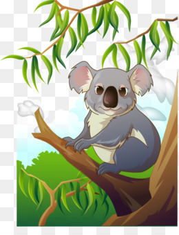 Koala Drawing PNG and Koala Drawing Transparent Clipart Free Download. -  CleanPNG / KissPNG
