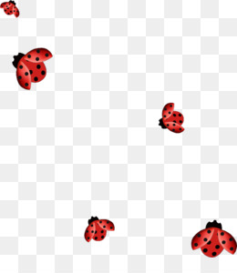Miraculous Ladybug PNG - Miraculous Ladybug Chat Noir, Miraculous Ladybug  Transparent. - CleanPNG / KissPNG