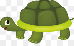 Turtle Cartoon PNG - baby-sea-turtle-cartoon sammy-the-turtle-cartoon. -  CleanPNG / KissPNG