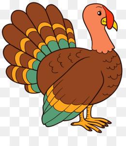 Turkey Bird PNG - turkey-bird-real-estate turkey-bird-cartoon turkey-bird-sound  turkey-bird-school biggest-wild-turkey-bird turkey-bird-sound turkey-bird-school  turkey-bird-chibi turkey-bird-cartoon. - CleanPNG / KissPNG