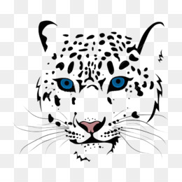 Jaguar Face Png Baby Jaguar Face Jaguar Face Drawing Jaguar Face