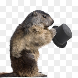 Groundhog Day PNG and Groundhog Day Transparent Clipart Free Download. -  CleanPNG / KissPNG