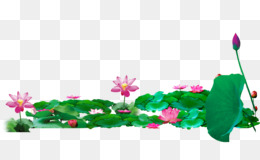 Pink Flower Border