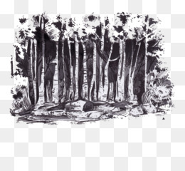Dark Forest PNG - dark-forest-cartoon dark-forest-silhouette dark-forest-symbol  dark-forest-pictures-with-girl dark-forest-outline dark-forest-and-man dark- forest-trees dark-forest-training dark-forest-red dark-forest-black dark- forest-banners dark ...
