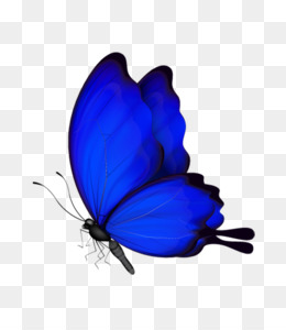 Butterfly Cartoon PNG and Butterfly Cartoon Transparent Clipart Free  Download. - CleanPNG / KissPNG