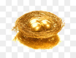 Golden Eggs transparent PNG - StickPNG
