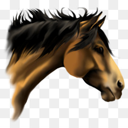 Horse Face PNG - cartoon-horse-face horse-face-silhouette horse-face-vector  horse-face-black horse-face-cartoon horse-face-drawing animated-horse-face  simple-horse-face horse-face-emoji horse-face-clipary horse-face-outline  horse-face-template horse ...