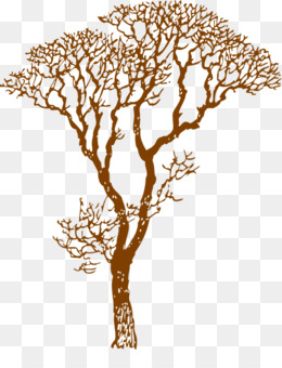 7 Best Lebanon cedar ideas  lebanon cedar cedar trees tree tattoo men