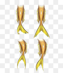 Tails PNG - Mermaid Tails, Clip On Animal Tails. - CleanPNG / KissPNG