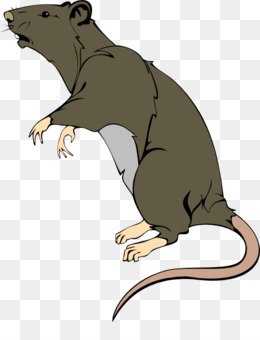 Black Rat PNG - dirty-black-rat black-rat-rod black-rat-white black-rat-animal  black-rat-illustration black-rat-halloween black-rat-cartoons black-rat-designs  black-rat-fashion black-rat-coloring-pages black-rat-animated black-rat- wallpaper black-rat ...