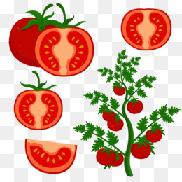 Tomato Slice PNG - tomato-slice-drawing cartoon-tomato-slice tomato-slice-black-and-white  tomato-slice-outline tomato-slice-coloring-page tomato-slice-outline tomato-slice-color  tomato-slice-template tomato-slice-wallpaper tomato-slice-icon tomato ...