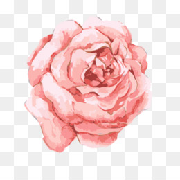 Pink Rose Png - Pink Rose Border, Vintage Pink Roses, Pink Roses  Background, Pink Rose Bouquet, Pink Rose Color, Pink Rose Bud, Pink Rose  Cartoon, Pink Rose Art. - Cleanpng / Kisspng