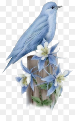 Bluebird Of Happiness PNG - funny-bluebird-of-happiness bluebird-of- happiness-tamar-braxton bluebird-of-happiness-meaning bluebird-of-happiness-tattoo  bluebird-of-happiness-figurine bluebird-of-happiness-poem bluebird-of- happiness-legend may-the ...