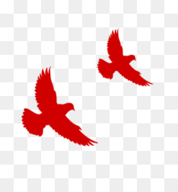 Red Eagle PNG and Red Eagle Transparent Clipart Free Download. - CleanPNG /  KissPNG