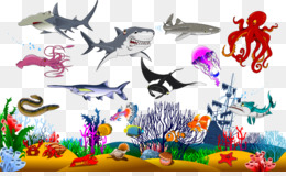 Sea Creatures PNG - Cartoon Sea Creatures, Under The Sea Creatures, Sea  Creatures Coloring Pages, Sea Creatures Wallpaper, Sea Creatures Baby  Shower, Sea Creatures Clip. - CleanPNG / KissPNG