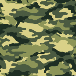 Army Background PNG - Army Background Color. - CleanPNG / KissPNG
