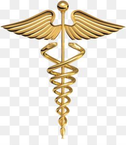 Medical Logo Png Medical Logo Family Medical Logo Black Word