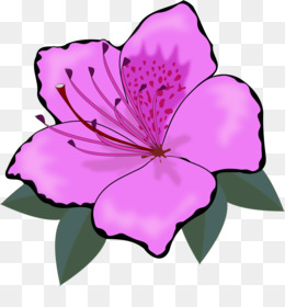 Amaryllis Flower Tattoo Designs