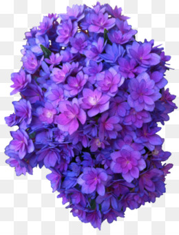 Featured image of post Verbena Flor Png / What&#039;s more, other formats of herb, verbena, plant vectors or.