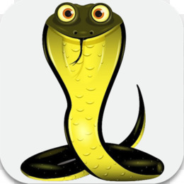 Fish Cartoon png download - 504*597 - Free Transparent Snake png