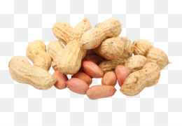 Peanut Commodity