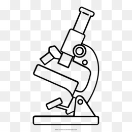 Microscope PNG - Microscope Vector, Microscope Logo, Microscope Cartoon,  Microscope Drawing, Scientist Microscope, Science Microscope, Biology  Microscope, Microscope Diagram, Microscope Outline, Microscope Pieces. -  CleanPNG / KissPNG