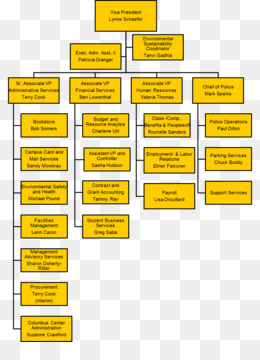 Baltimore Police Org Chart