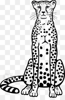 Cheetah Drawing PNG - cheetah-drawing-art cheetah-drawing-cute cheetah- drawing-color cheetah-drawing-cartoon cheetah-drawing-background. -  CleanPNG / KissPNG