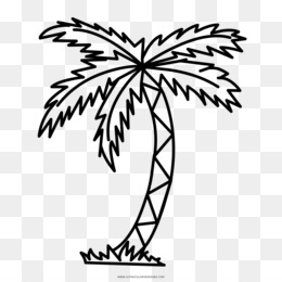 Palmera PNG and Palmera Transparent Clipart Free Download. - CleanPNG /  KissPNG