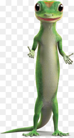 Geico PNG and Geico Transparent Clipart Free Download.