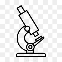 Microscope PNG - Microscope Vector, Microscope Logo, Microscope Cartoon,  Microscope Drawing, Scientist Microscope, Science Microscope, Biology  Microscope, Microscope Diagram, Microscope Outline, Microscope Pieces. -  CleanPNG / KissPNG